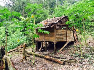 Life Before Roads and Phones: What We Did to Survive in the village